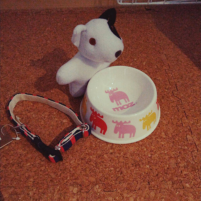 ワンちゃんもよろこぶ☆インテリアになじむ愛犬用フードボウル