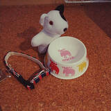 「ワンちゃんもよろこぶ☆インテリアになじむ愛犬用フードボウル」の画像9