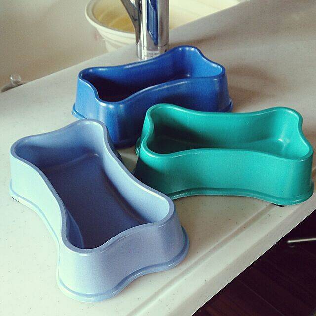 ワンちゃんもよろこぶ☆インテリアになじむ愛犬用フードボウル