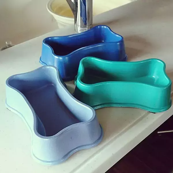 「ワンちゃんもよろこぶ☆インテリアになじむ愛犬用フードボウル」の画像