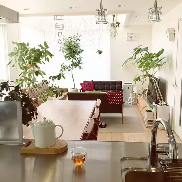 「何気ない日常に彩りを。植物に囲まれた自然を感じる暮らし。」の画像