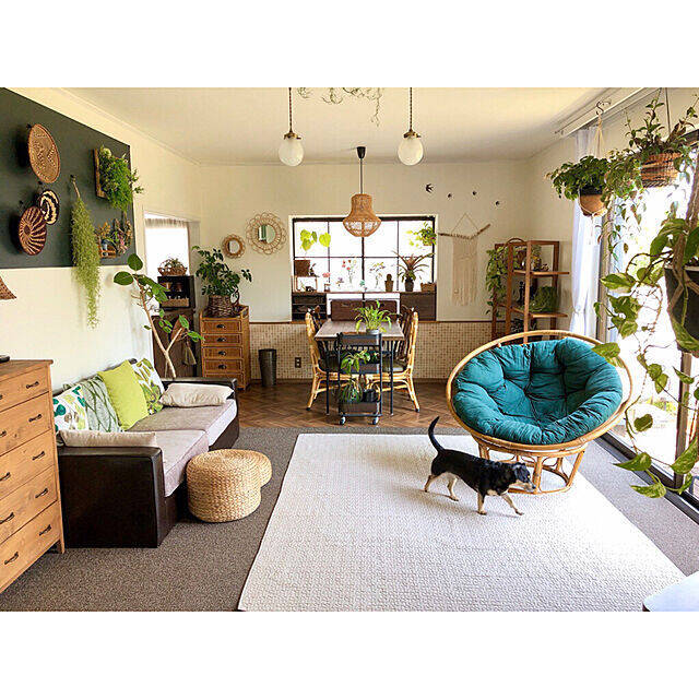 何気ない日常に彩りを。植物に囲まれた自然を感じる暮らし。