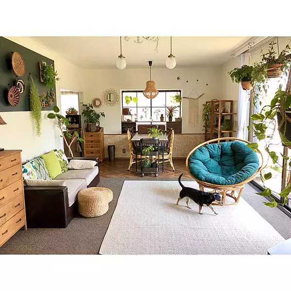 「何気ない日常に彩りを。植物に囲まれた自然を感じる暮らし。」の画像