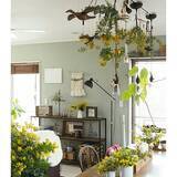 「何気ない日常に彩りを。植物に囲まれた自然を感じる暮らし。」の画像10