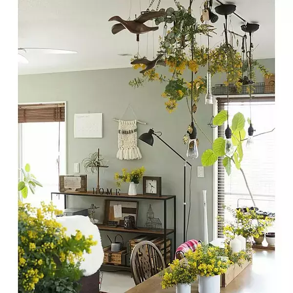 「何気ない日常に彩りを。植物に囲まれた自然を感じる暮らし。」の画像