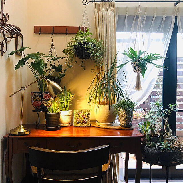 何気ない日常に彩りを。植物に囲まれた自然を感じる暮らし。