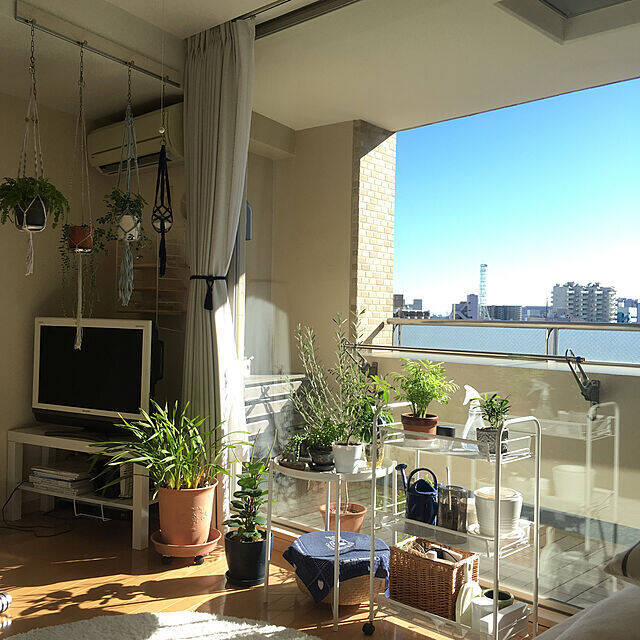 何気ない日常に彩りを。植物に囲まれた自然を感じる暮らし。