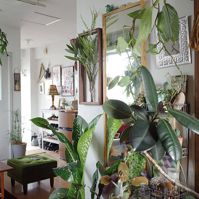 何気ない日常に彩りを。植物に囲まれた自然を感じる暮らし。