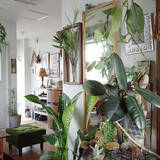 「何気ない日常に彩りを。植物に囲まれた自然を感じる暮らし。」の画像7