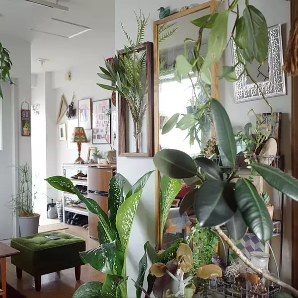 「何気ない日常に彩りを。植物に囲まれた自然を感じる暮らし。」の画像