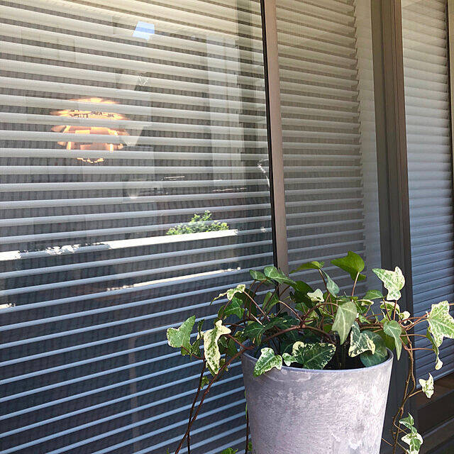 強い日差しをコントロールして快適なお部屋に☆紫外線対策アイデア集