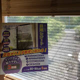 「強い日差しをコントロールして快適なお部屋に☆紫外線対策アイデア集」の画像2