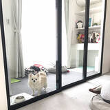 「明るくて開放的♪サンルームやインナーテラスのある暮らし」の画像8