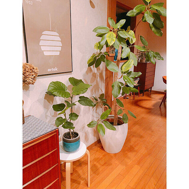 ちょい置きにもディスプレイにも ニトリのスツール活用術 年11月12日 エキサイトニュース 2 4