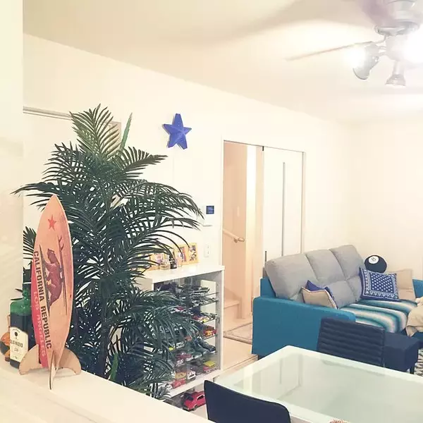 「置くだけで見違える！「シンボルツリー」のあるお部屋」の画像