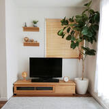 「置くだけで見違える！「シンボルツリー」のあるお部屋」の画像11