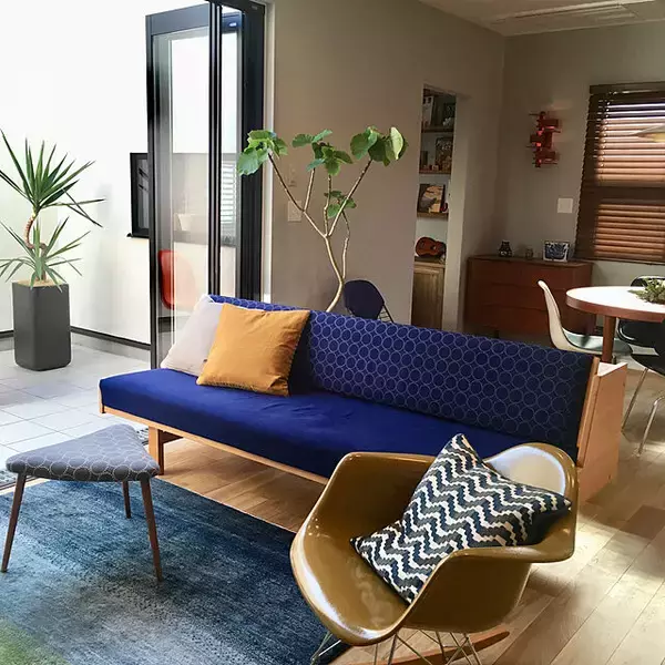 「置くだけで見違える！「シンボルツリー」のあるお部屋」の画像