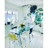 「置くだけで見違える！「シンボルツリー」のあるお部屋」の画像6