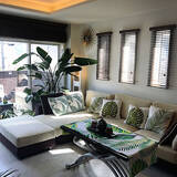 「置くだけで見違える！「シンボルツリー」のあるお部屋」の画像3