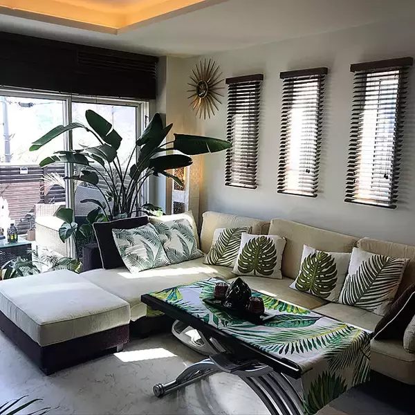 「置くだけで見違える！「シンボルツリー」のあるお部屋」の画像