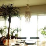 「置くだけで見違える！「シンボルツリー」のあるお部屋」の画像2