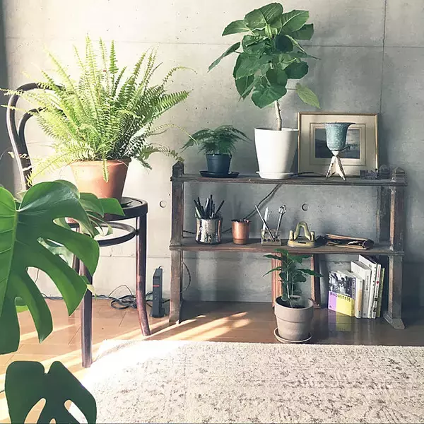 「「30m2。開放感たっぷりに趣と植物、音を味わうくつろぎのワンルーム」 by uhyoさん」の画像