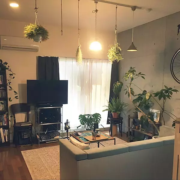 「「30m2。開放感たっぷりに趣と植物、音を味わうくつろぎのワンルーム」 by uhyoさん」の画像