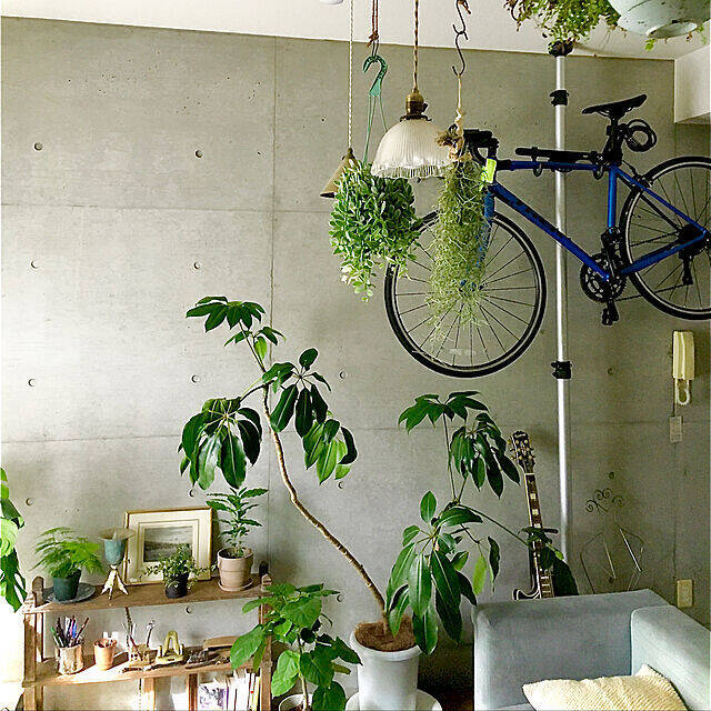 「30m2。開放感たっぷりに趣と植物、音を味わうくつろぎのワンルーム」 by uhyoさん