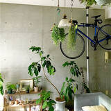 「「30m2。開放感たっぷりに趣と植物、音を味わうくつろぎのワンルーム」 by uhyoさん」の画像8