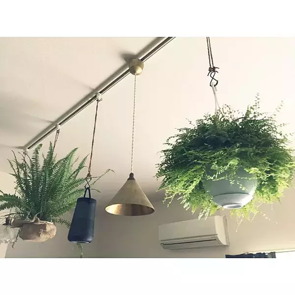 「「30m2。開放感たっぷりに趣と植物、音を味わうくつろぎのワンルーム」 by uhyoさん」の画像