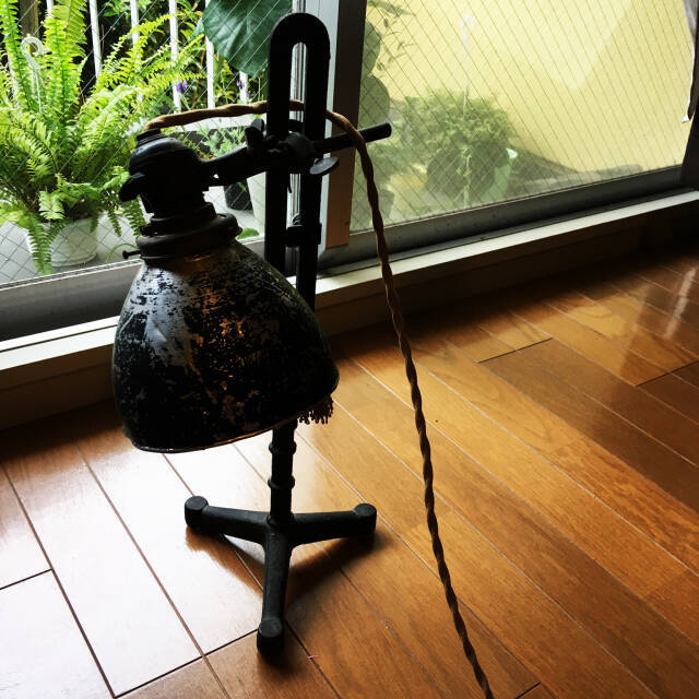 「30m2。開放感たっぷりに趣と植物、音を味わうくつろぎのワンルーム」 by uhyoさん