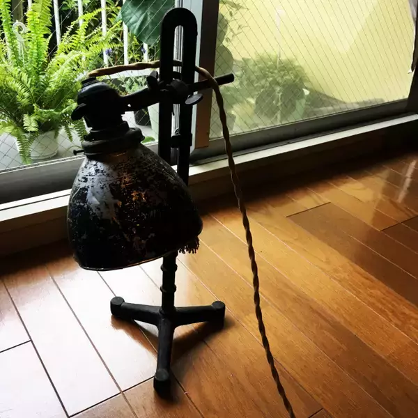 「「30m2。開放感たっぷりに趣と植物、音を味わうくつろぎのワンルーム」 by uhyoさん」の画像