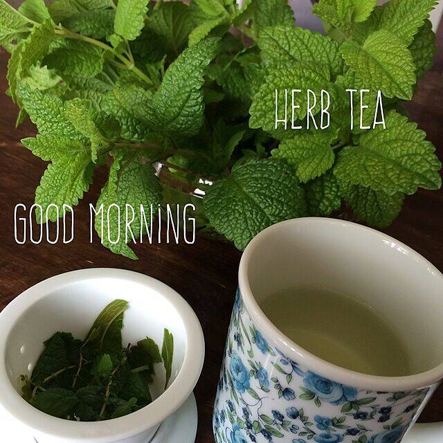 自然の恵みを味わって、暮らしを整える。丁寧な暮らしを楽しむヒント