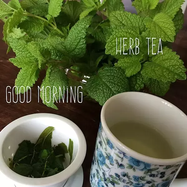 「自然の恵みを味わって、暮らしを整える。丁寧な暮らしを楽しむヒント」の画像