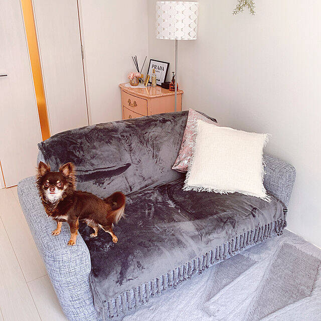 29ｍ2 カラーとレイアウトを決め手につくる 自分好みの癒しの空間 By Nahoさん 年8月26日 エキサイトニュース