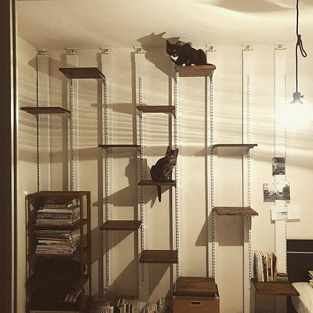 初心者さんでもきっとできる！2×4材を使った簡単DIYアイディア