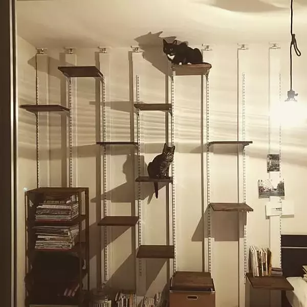 「初心者さんでもきっとできる！2×4材を使った簡単DIYアイディア」の画像