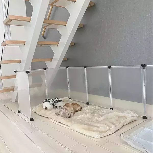 「もっと快適に過ごせるように♪年をとったペットが暮らしやすくなる工夫」の画像