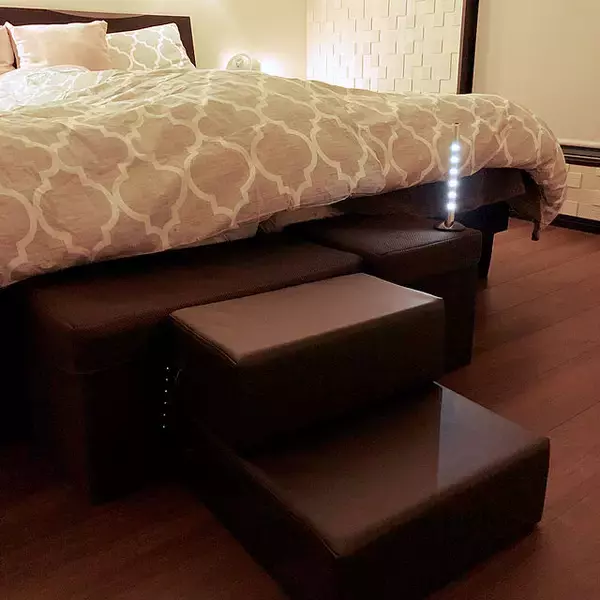 「もっと快適に過ごせるように♪年をとったペットが暮らしやすくなる工夫」の画像