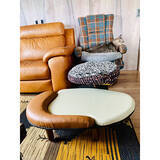 「もっと快適に過ごせるように♪年をとったペットが暮らしやすくなる工夫」の画像7