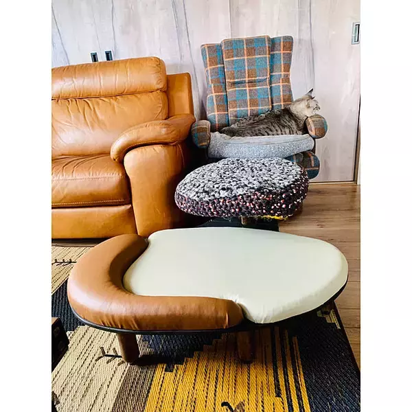 「もっと快適に過ごせるように♪年をとったペットが暮らしやすくなる工夫」の画像