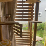 「飼い主さんもこれで安心！猫ちゃんの脱走防止対策アイデア」の画像4