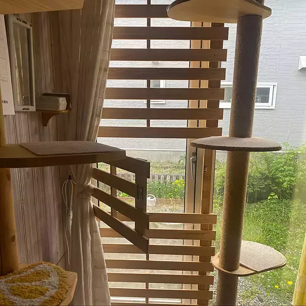 「飼い主さんもこれで安心！猫ちゃんの脱走防止対策アイデア」の画像