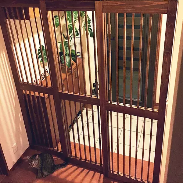 「飼い主さんもこれで安心！猫ちゃんの脱走防止対策アイデア」の画像