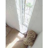 「飼い主さんもこれで安心！猫ちゃんの脱走防止対策アイデア」の画像3