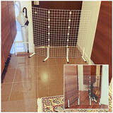 「飼い主さんもこれで安心！猫ちゃんの脱走防止対策アイデア」の画像5