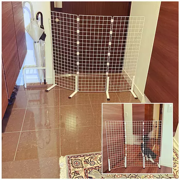 「飼い主さんもこれで安心！猫ちゃんの脱走防止対策アイデア」の画像