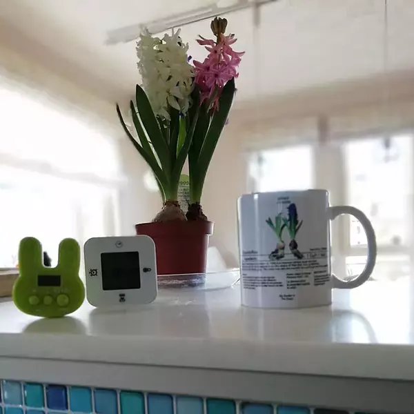 「IKEAでキッチンをもっと便利に♪ユーザーさんオススメのキッチンアイテム」の画像