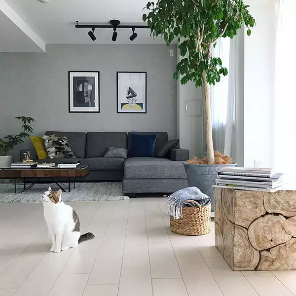 「好きなスタイルにキレを生む♡テイスト別モダンインテリア」の画像