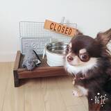 「自分好みに作れるのが魅力！犬好きによる犬のためのDIY実例10選」の画像4